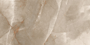 Керамогранит Ceraland Bostone Brown (60х120) глянец